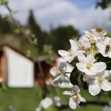 Appartamento Mountain View - Pr' Potovcn'k