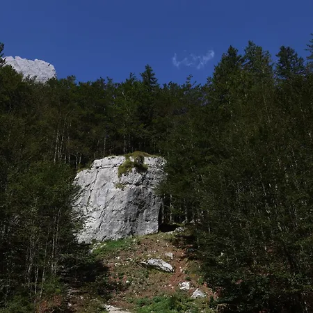 Mountain View - Pr' Potovcn'k *