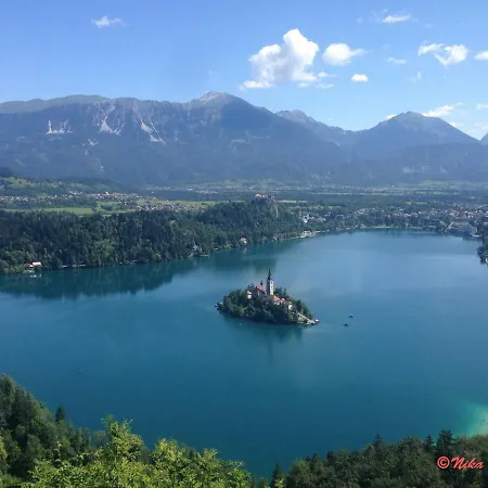 Mountain View - Pr' Potovcn'k Dovje