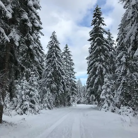 Mountain View - Pr' Potovcn'k Daire *