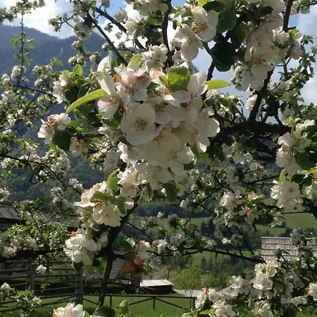 Mountain View - Pr' Potovcn'k *