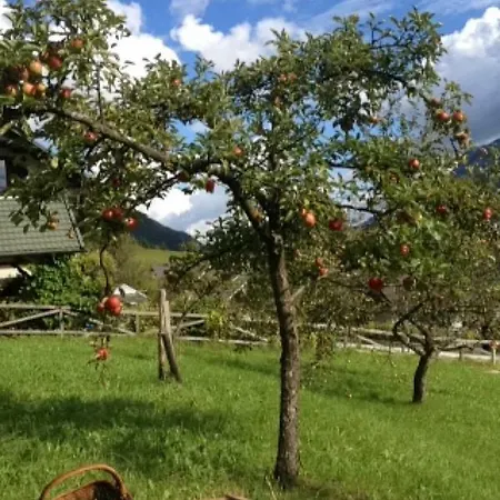 Mountain View - Pr' Potovcn'k * Dovje