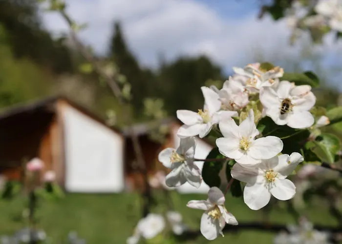 Apartamento Mountain View - Pr' Potovcn'k