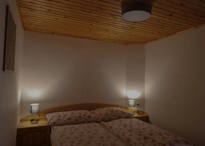 Mountain View - Pr' Potovcn'k Apartamento Dovje