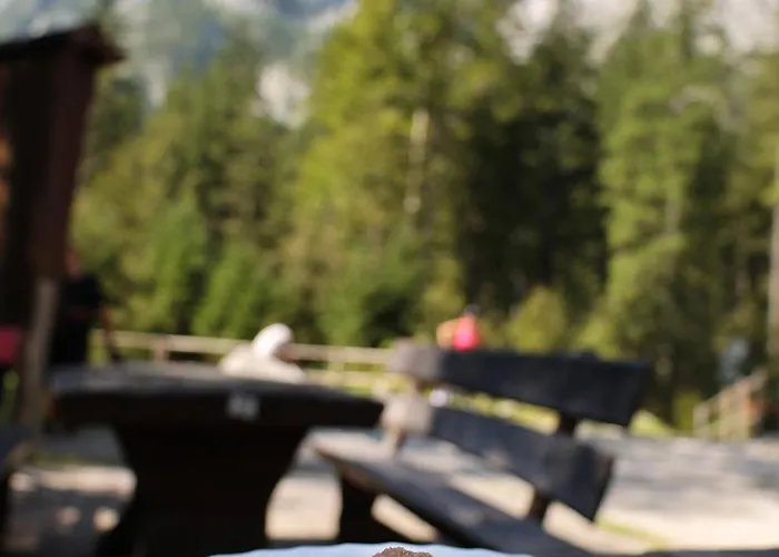 Mountain View - Pr' Potovcn'k Apartment *