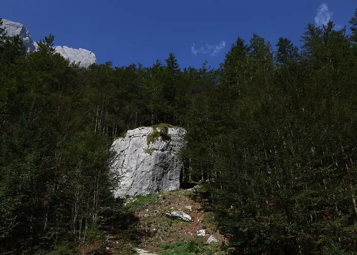 Mountain View - Pr' Potovcn'k *