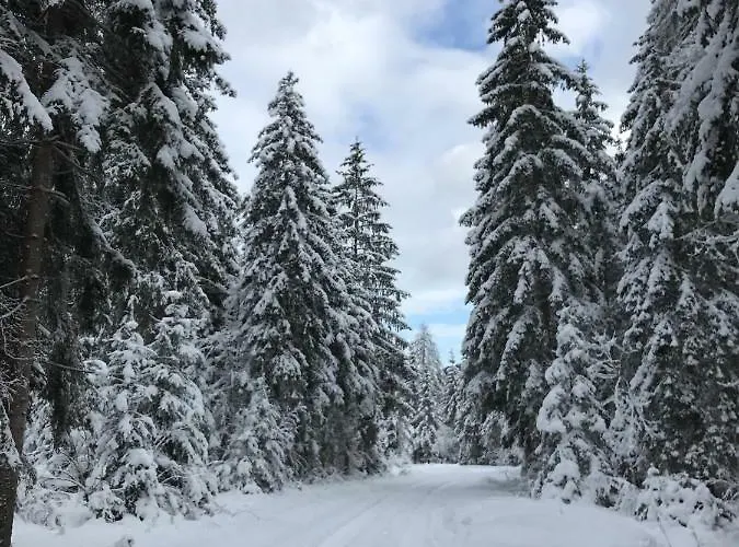 Mountain View - Pr' Potovcn'k Apartamento *