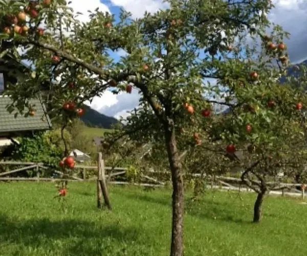 Mountain View - Pr' Potovcn'k * Dovje